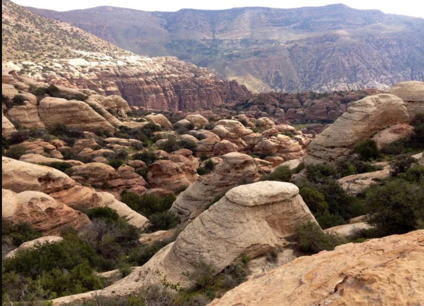 Dana Biosphere Reserve, Tafila Governorate, Jordan